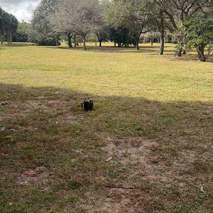 Tonya 💕💕 post 3