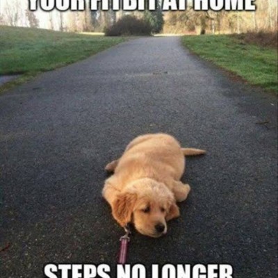 Sanity walking club Adelina post image