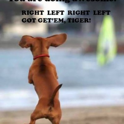 Sanity walking club Adelina post image