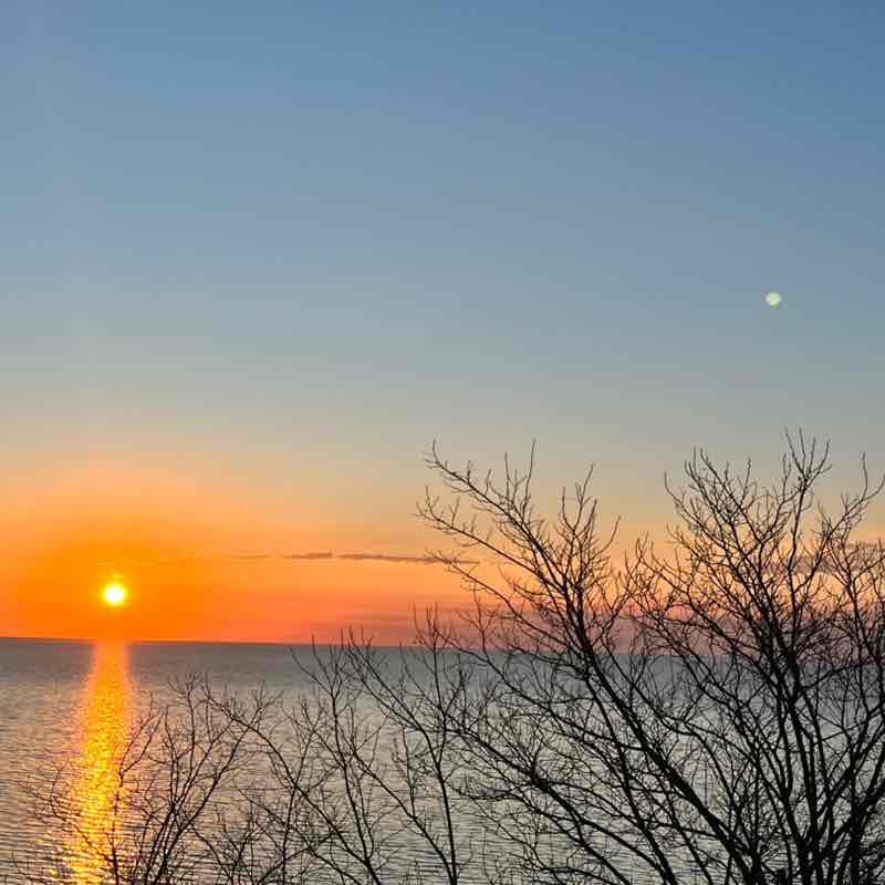 Светлана post 1