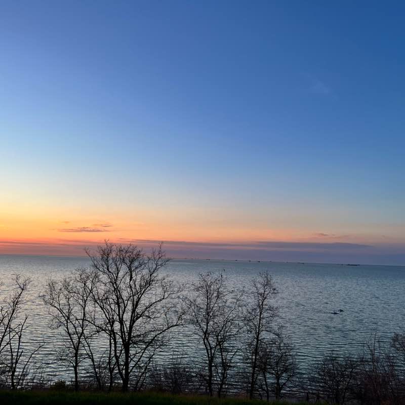 Светлана post 2