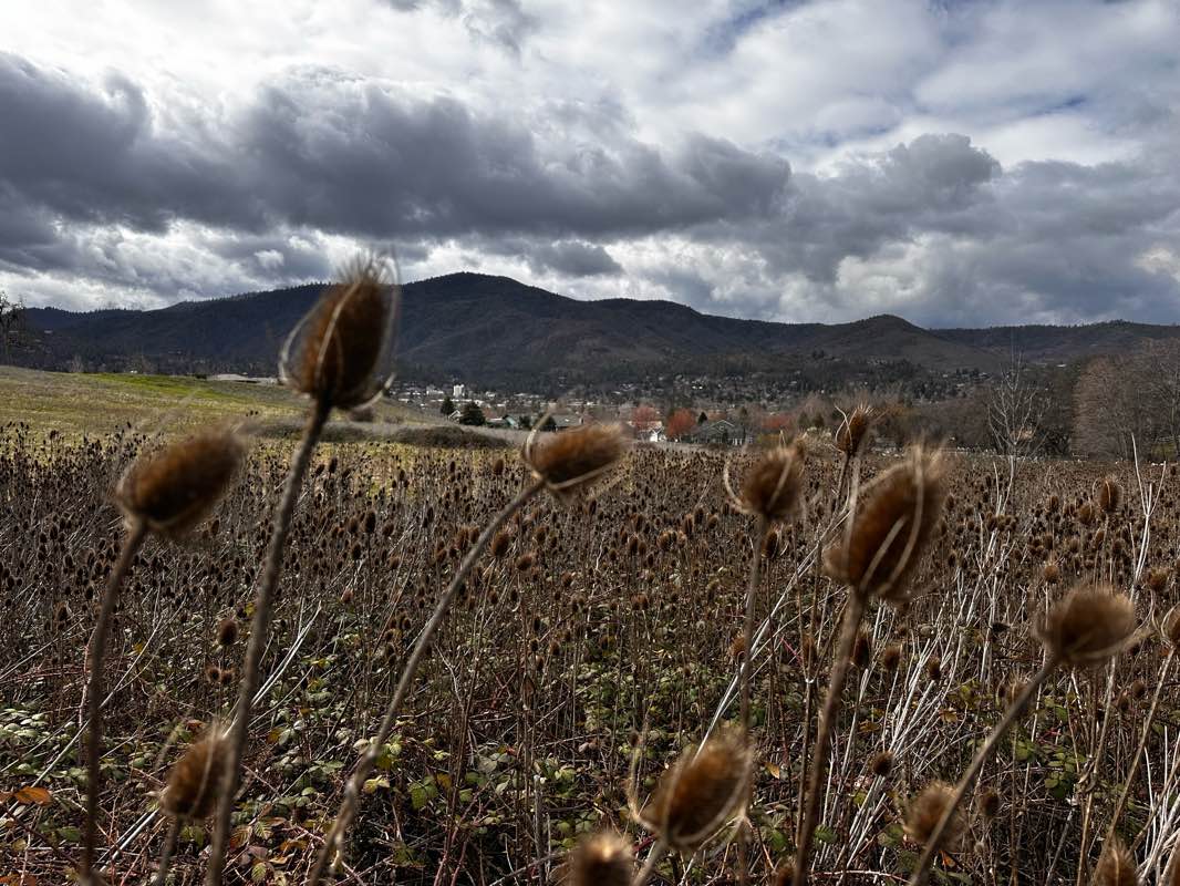 walking near me in North Mountain Park Nature Center in spring
