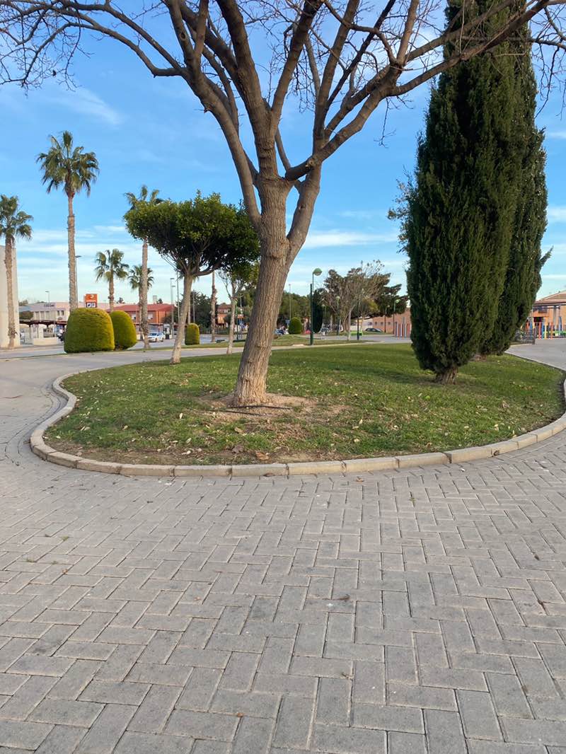 walking near me in Jardín del Recuerdo in winter