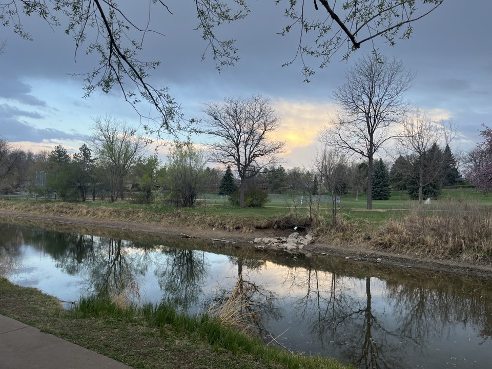 walking near me in Spring Park in spring