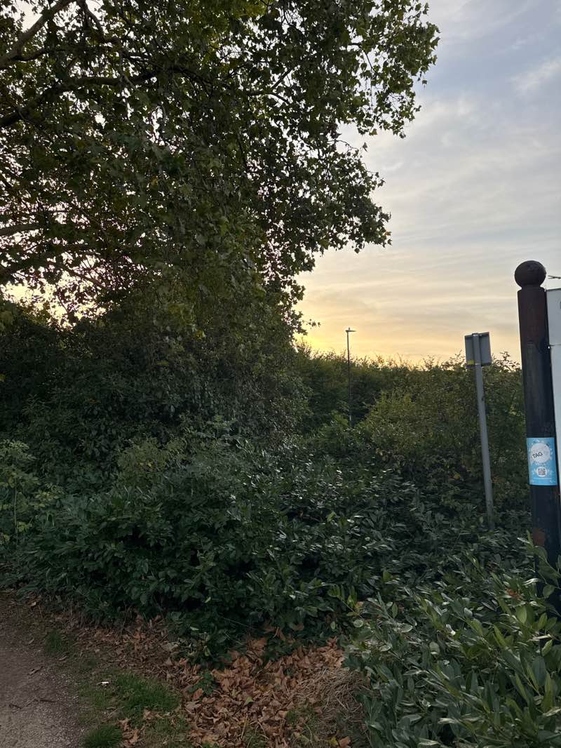 walking near me in Barking Park in autumn