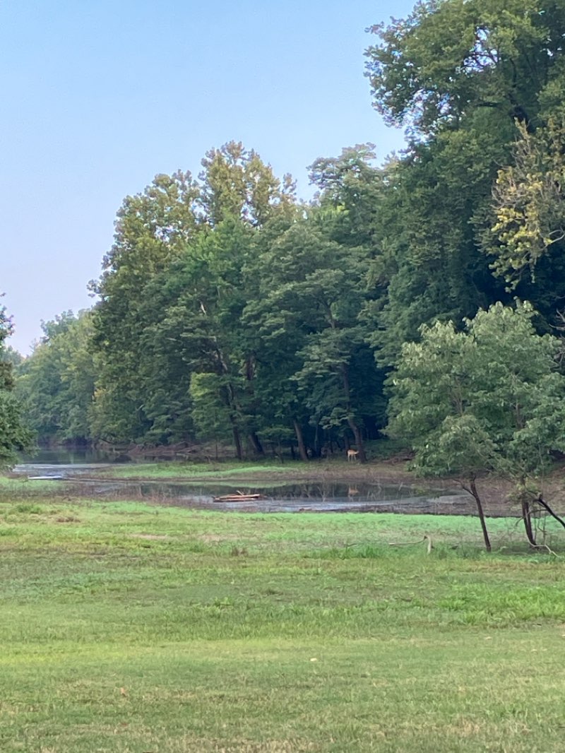 walking near me in Campbell Lake Park in autumn