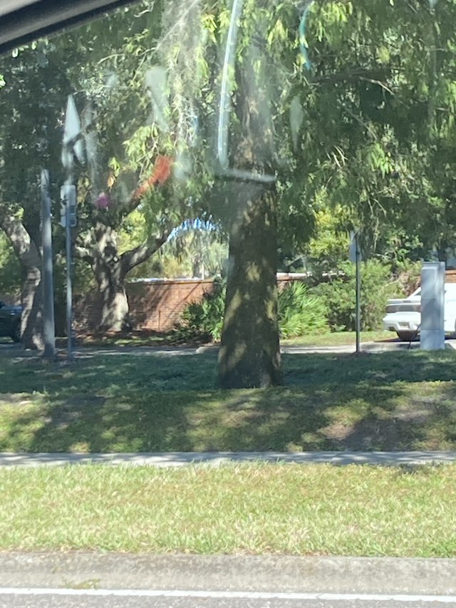walking near me in Trailhead Park in autumn