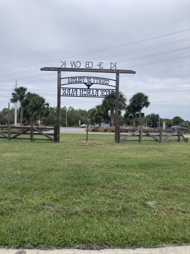 walking near me in Beck Ranch Park in autumn