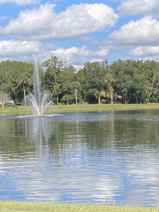 walking near me in Coleman Park in autumn