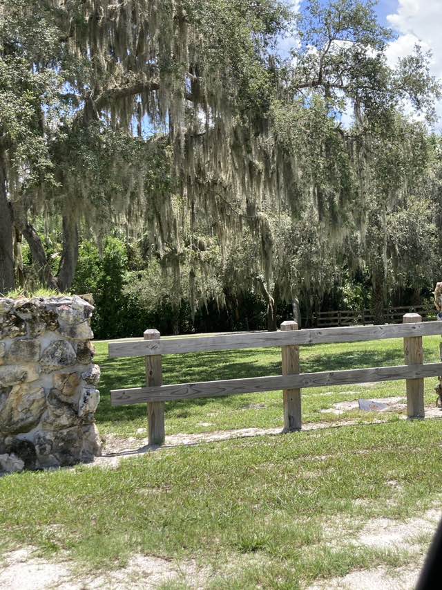 walking near me in Memorial Park in autumn