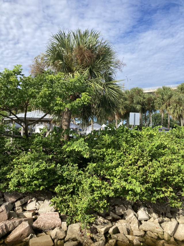 walking near me in Flagler Park in autumn