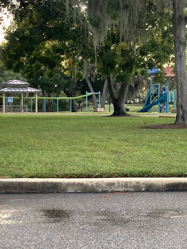 walking near me in Gateway Park in autumn