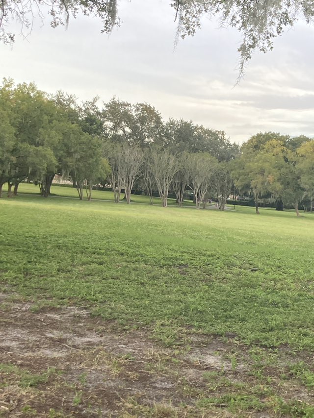 walking near me in Oval Park in autumn