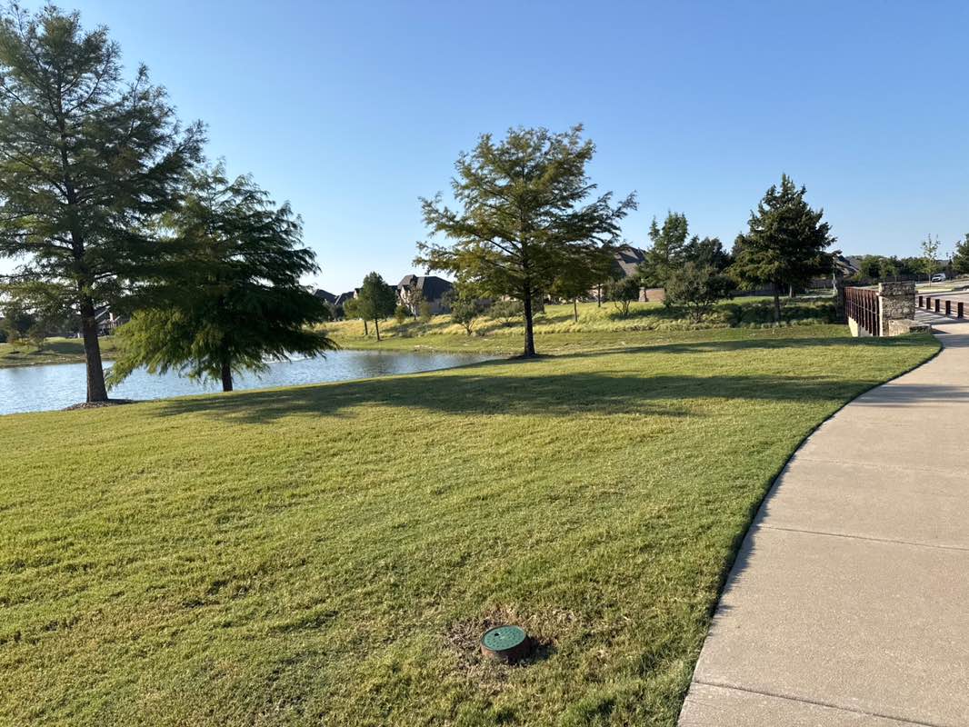 walking near me in Cypress Creek Greenbelt in autumn