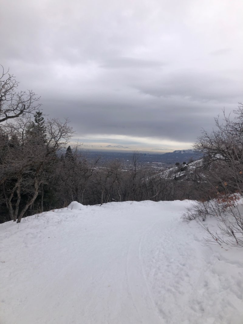 walking near me in Mount Olympus Wilderness in winter