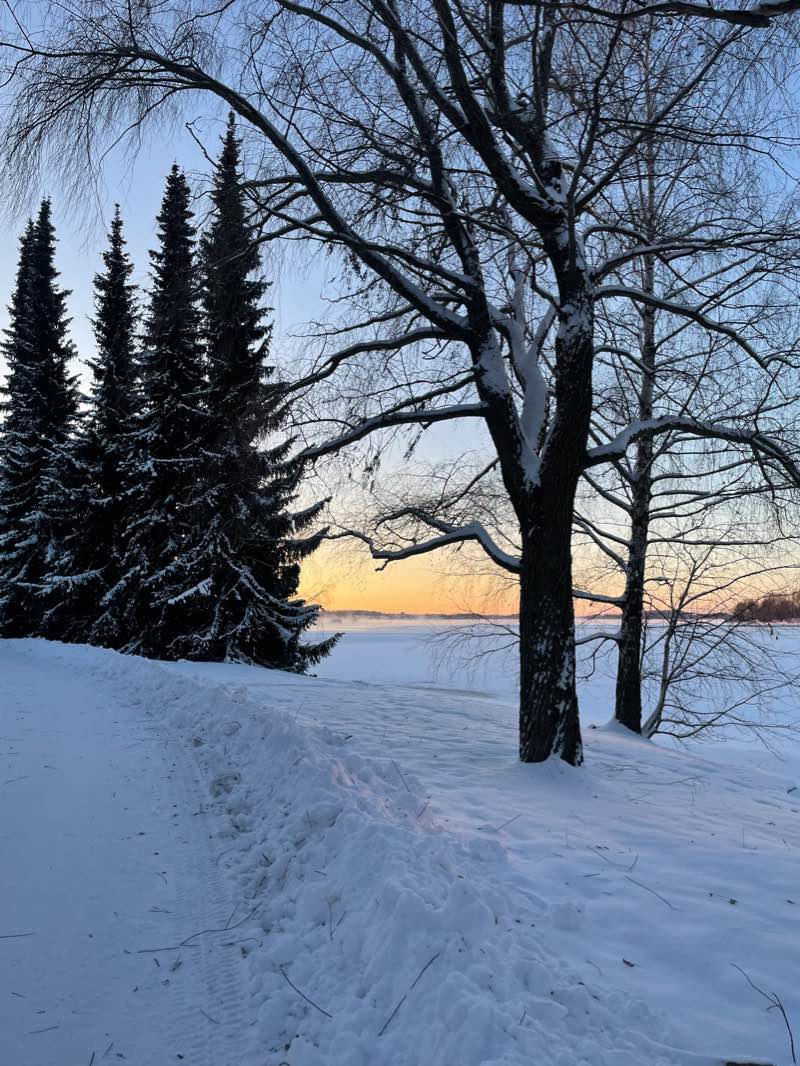 walking near me in Höyrypuisto in winter