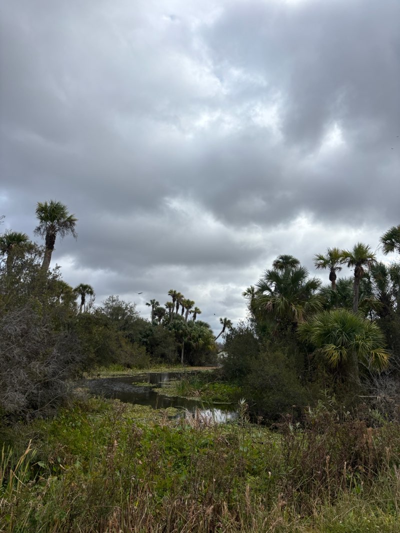 walking near me in Charles H. Bronson State Forest in winter