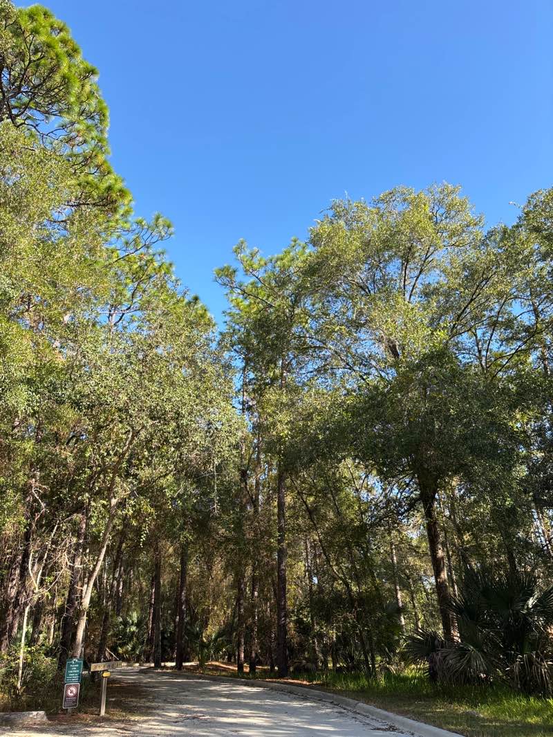 walking near me in Kelly Park in autumn