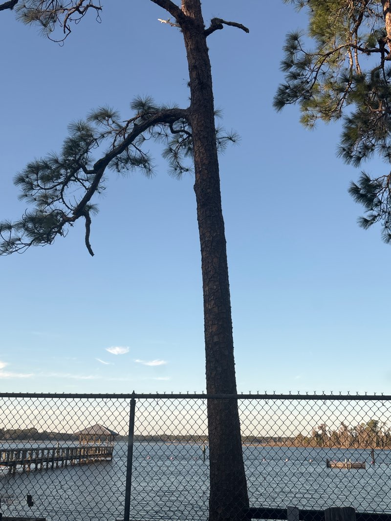 walking near me in Lake Broward Park in winter