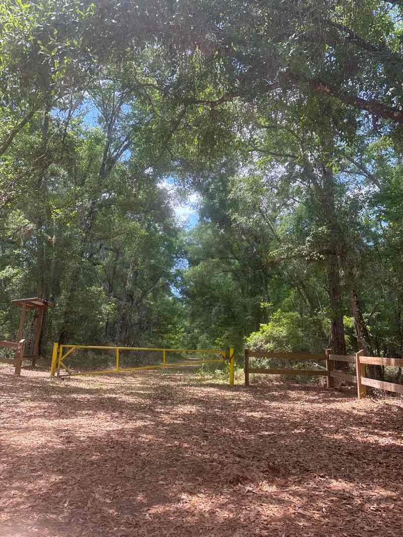 walking near me in Withlacoochee State Forest in spring