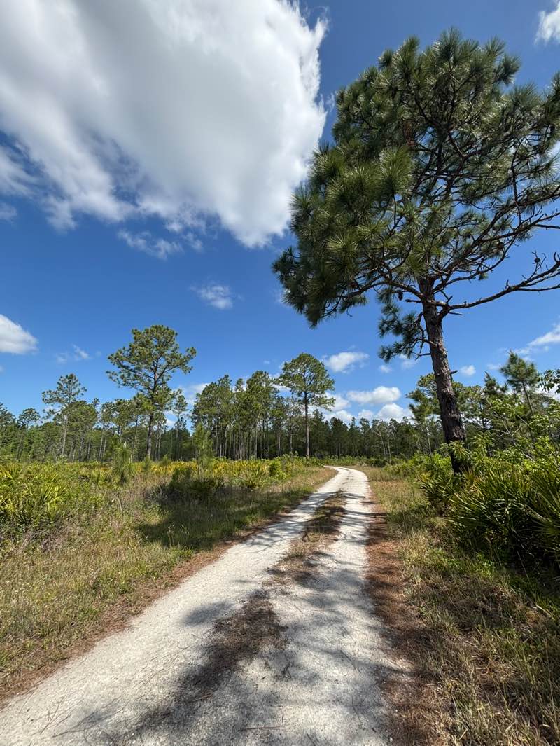 walking near me in Hilochee Wildlife Management Area in spring