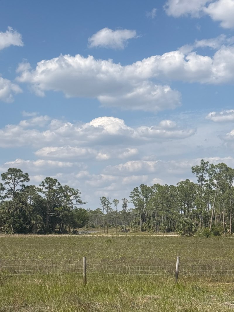 walking near me in Fred C. Babcock / Cecil M. Webb Wildlife Management Area in spring