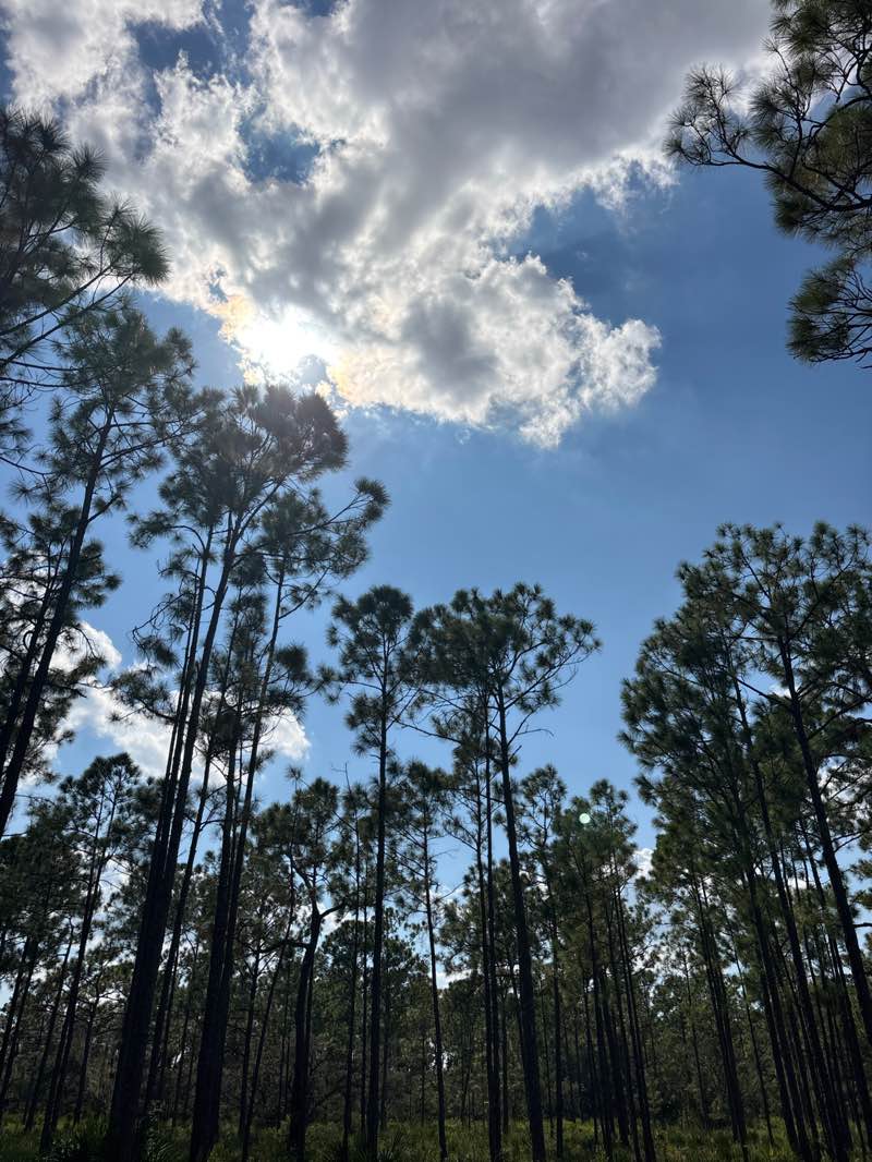 walking near me in Tibet-Butler Preserve in autumn