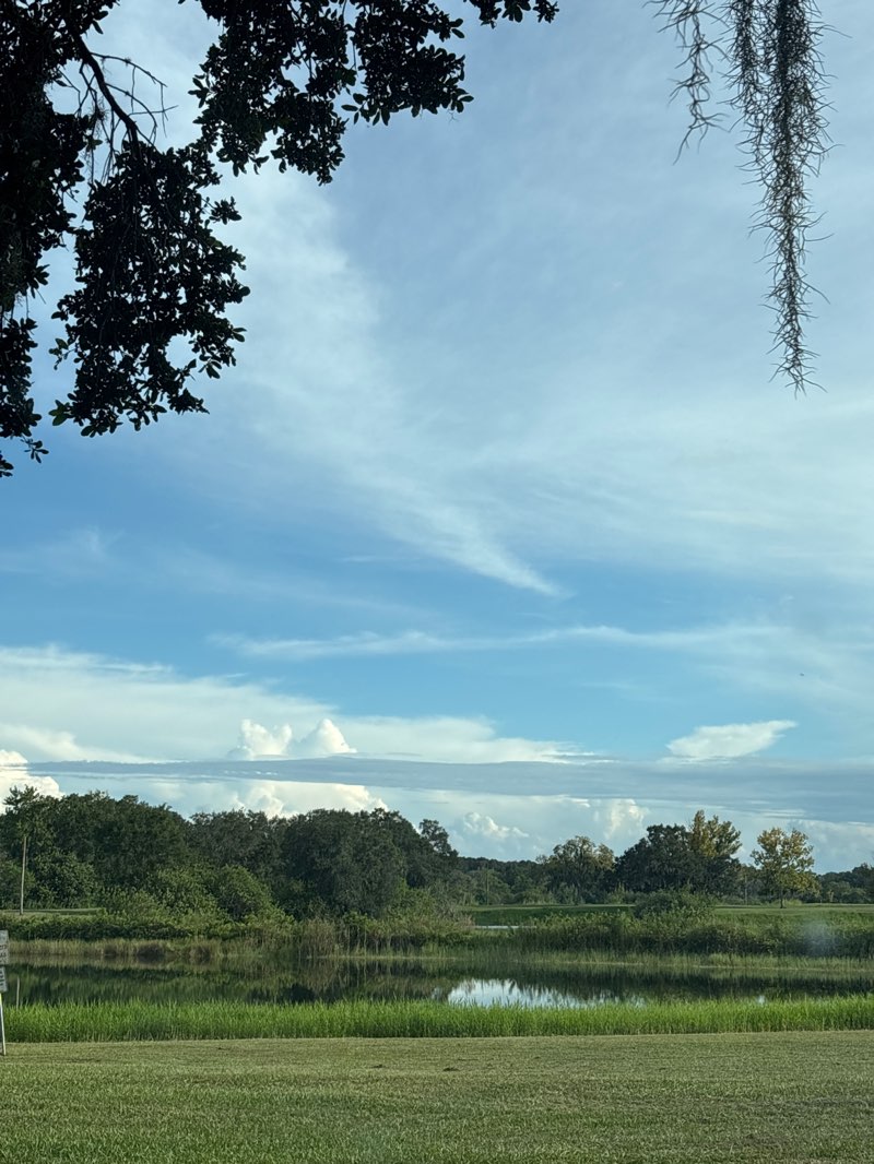 walking near me in Saddle Creek Park in autumn