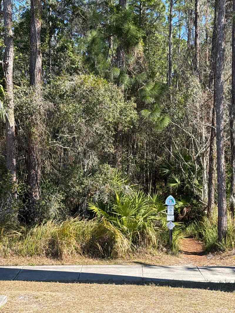 walking near me in Little Big Econ State Forest in winter