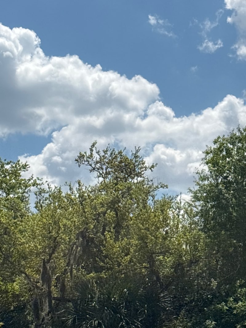 walking near me in Big Slough Preserve in spring