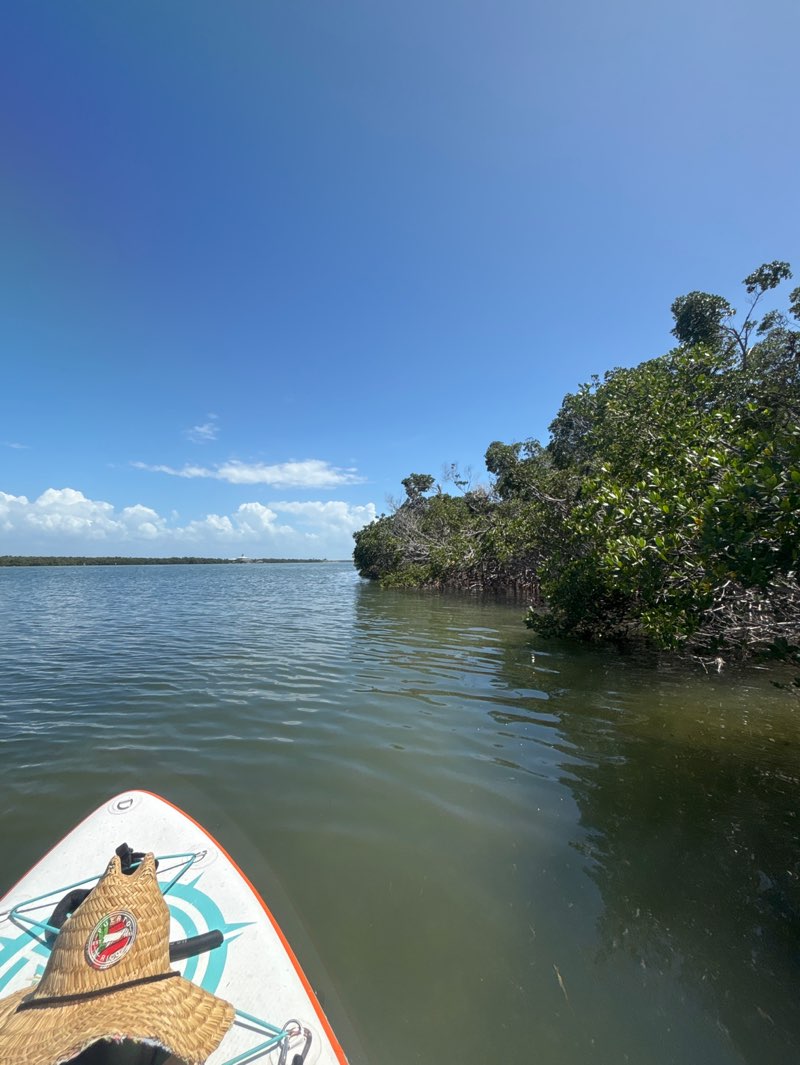 walking near me in Sawyer Key in spring