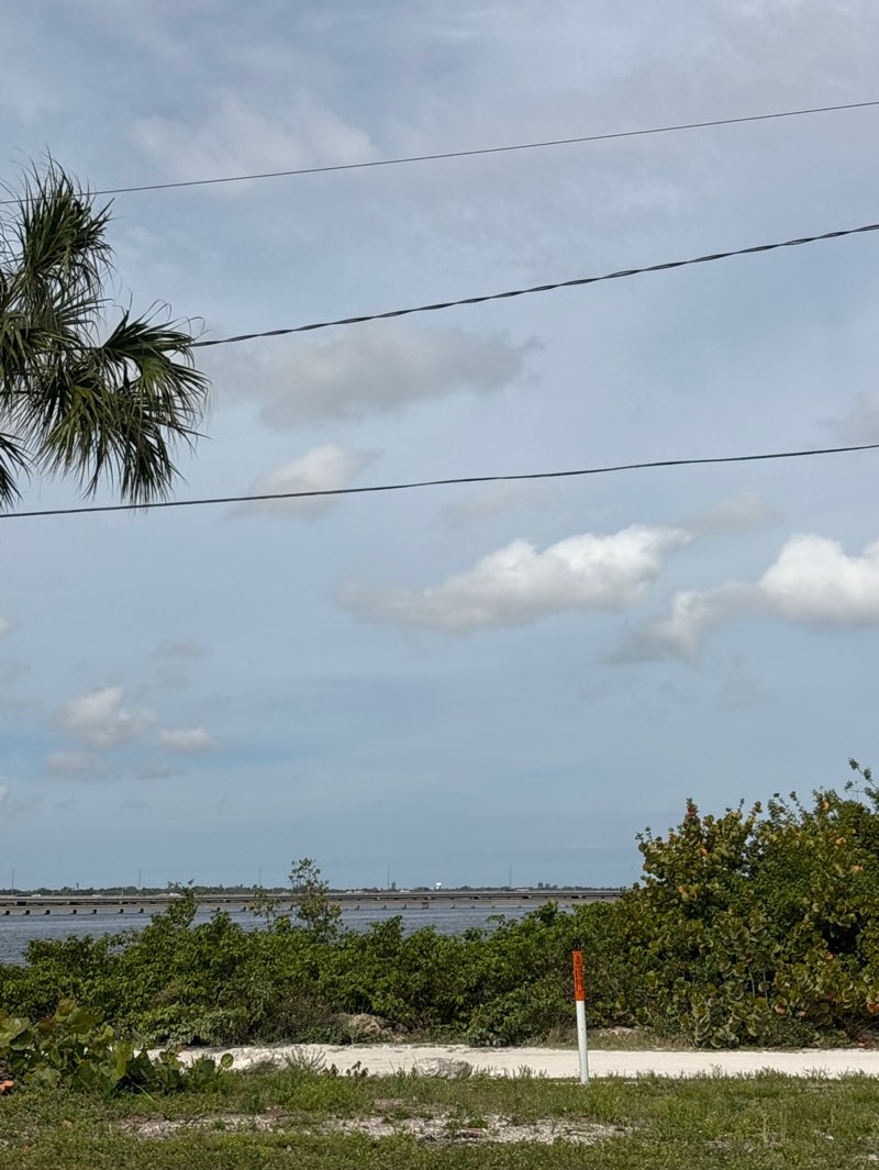 walking near me in Palmetto Estuary Nature Preserve in spring