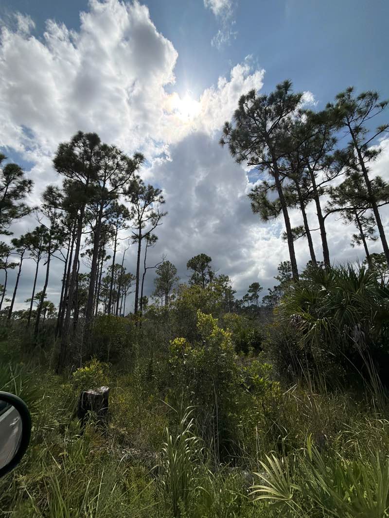 walking near me in JW Corbett Wildlife Management Area in summer