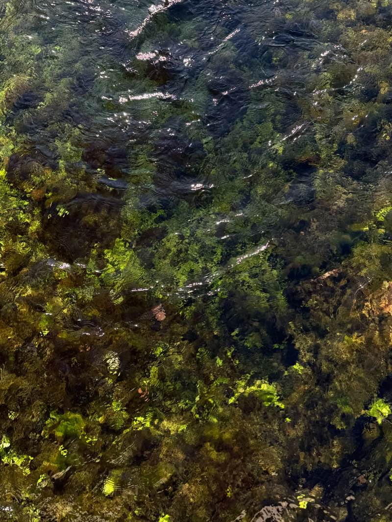 walking near me in Lewis and Clark National Forest in winter