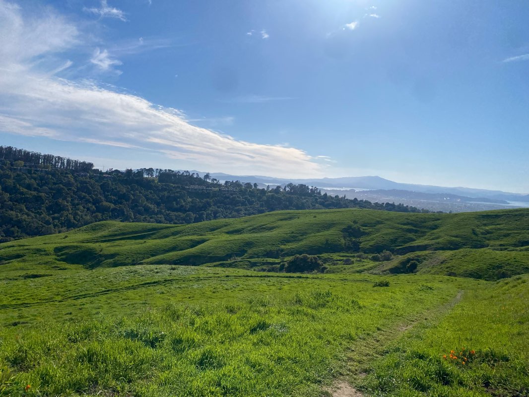 walking near me in Wildcat Canyon Regional Park in winter
