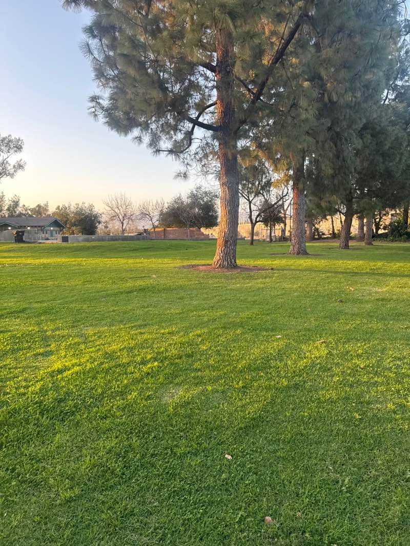 walking near me in Pioneer Park in winter