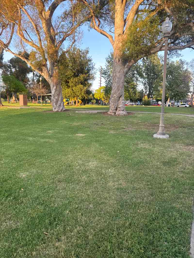 walking near me in Pioneer Park in spring