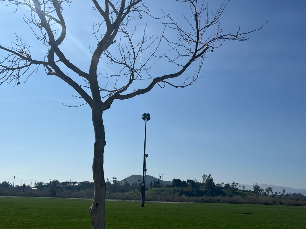 walking near me in Eastvale Community Park in winter
