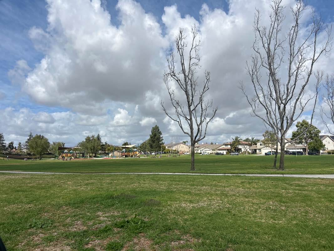 walking near me in Cedar Creek Park in winter