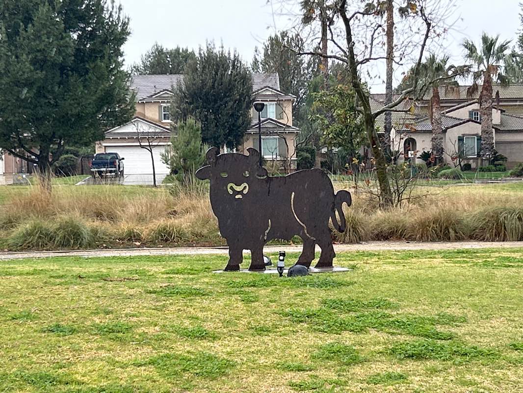 walking near me in Dairyland Park in winter