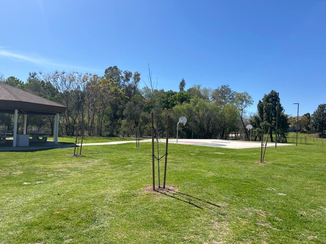 walking near me in Fairview Park in spring