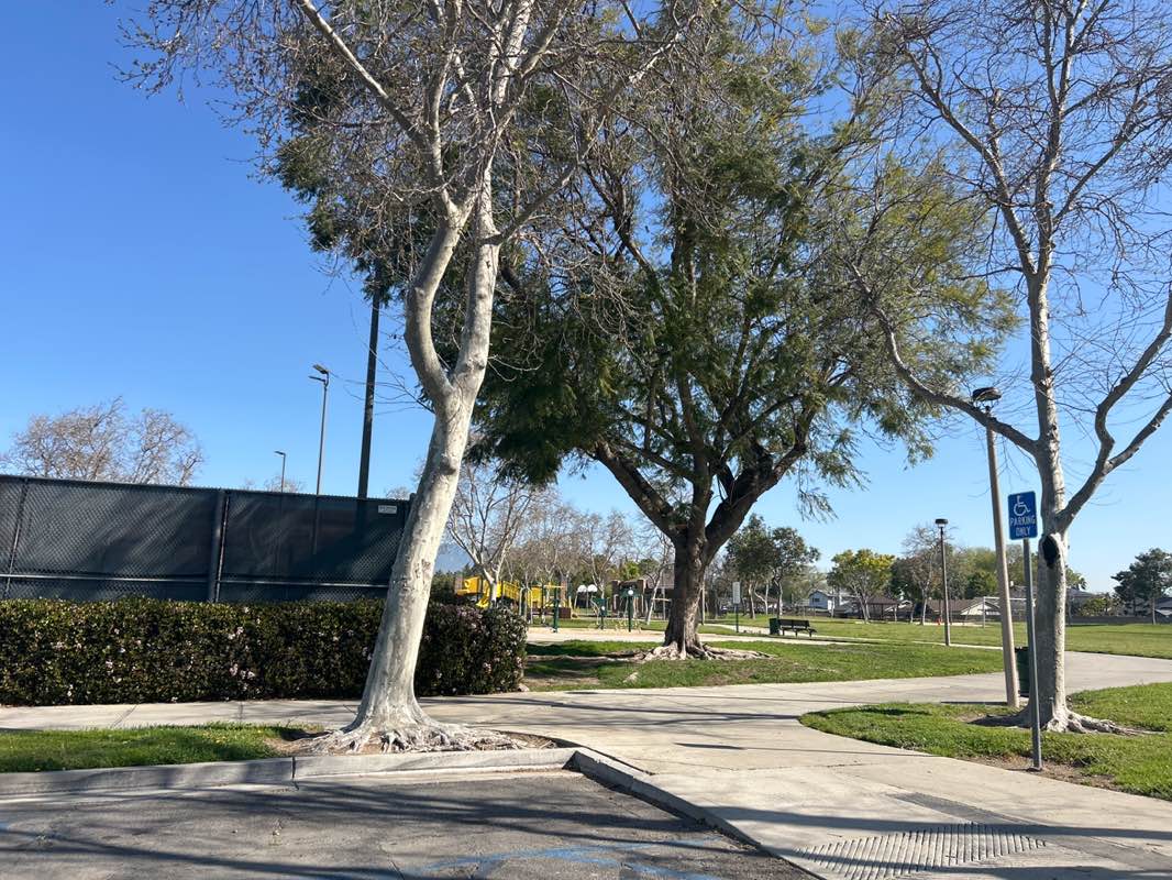 walking near me in Westwind Park in spring