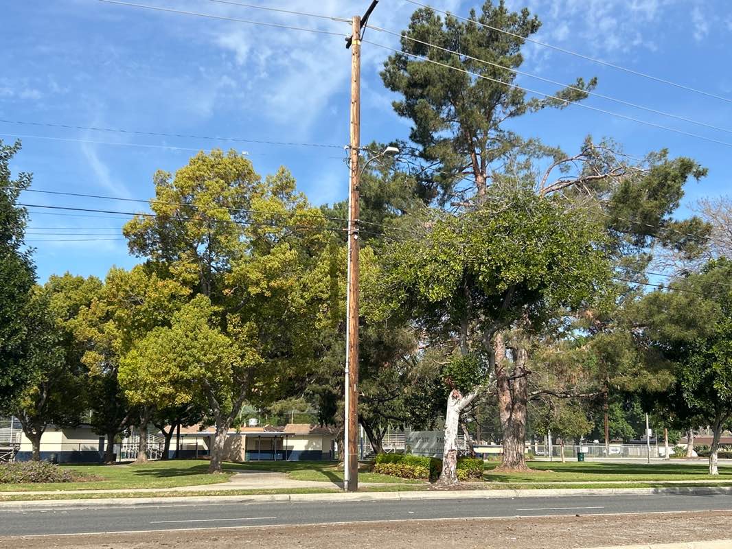 walking near me in Del Norte Park in spring