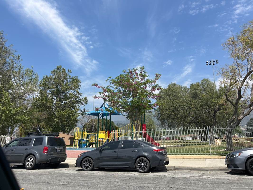 walking near me in Gordon Sports Park in spring