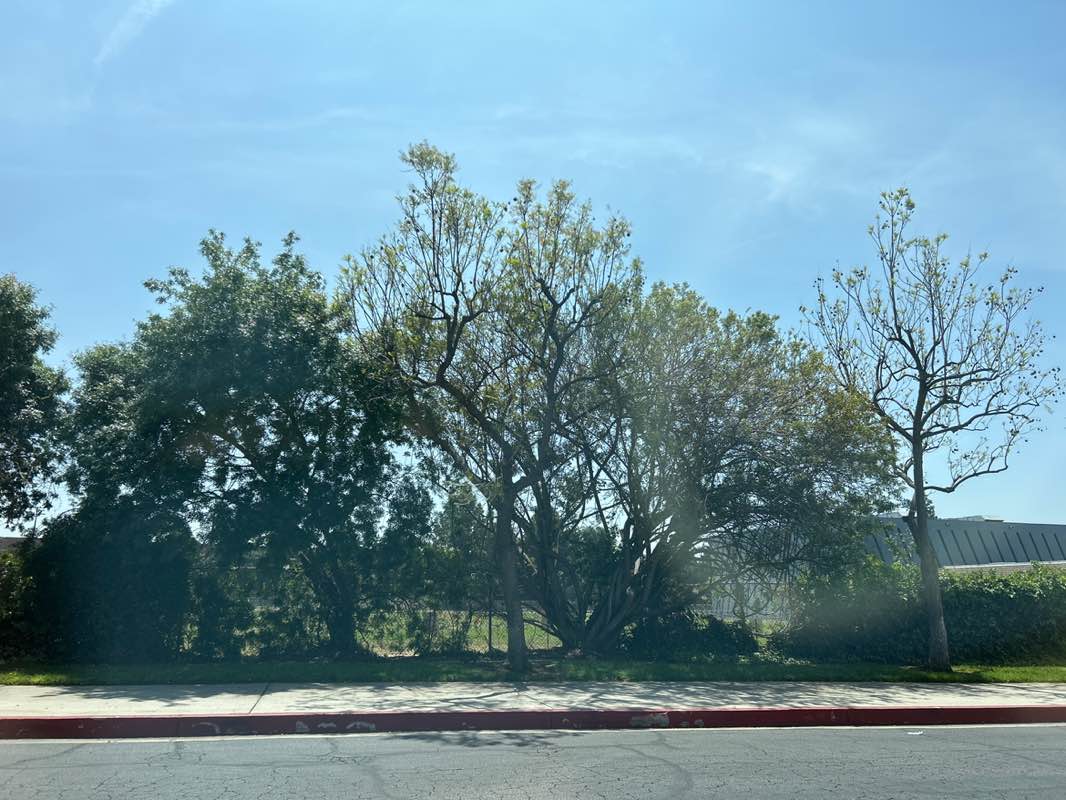 walking near me in Northview Park in spring