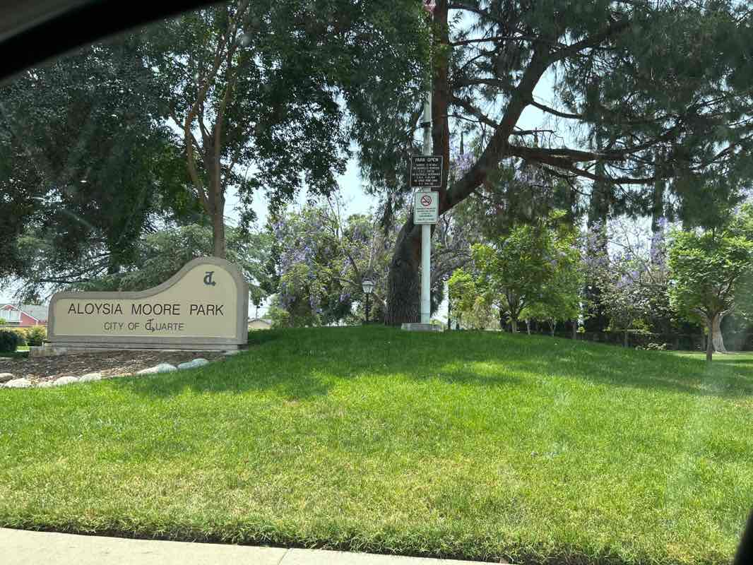 walking near me in Aloysia Moore Park in summer