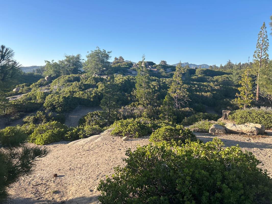 walking near me in National Children's Forest in summer