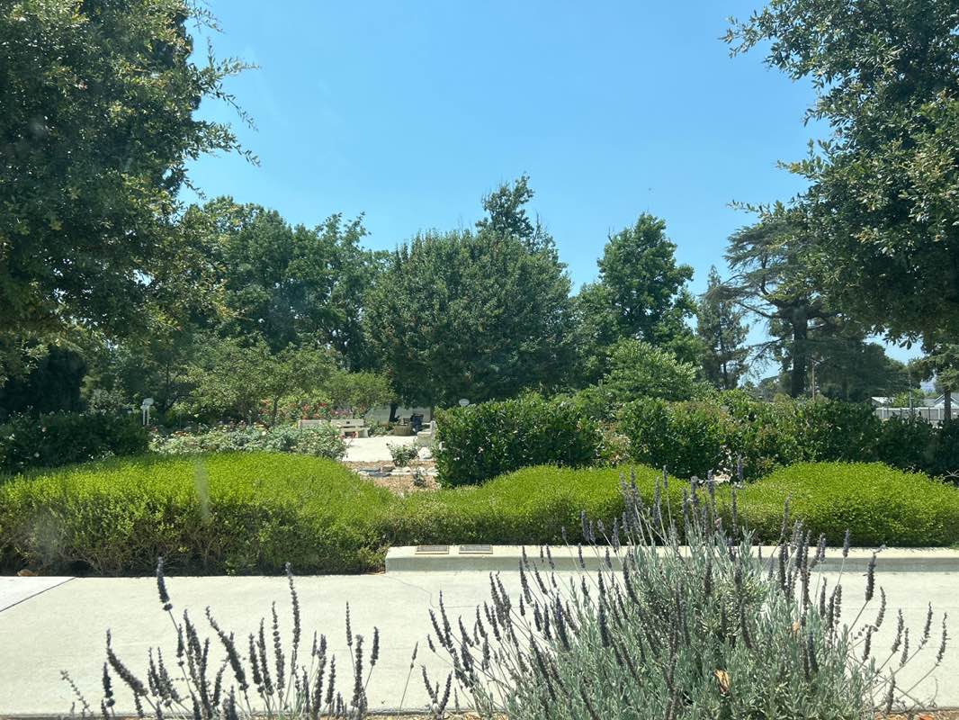 walking near me in Pioneer Park in summer