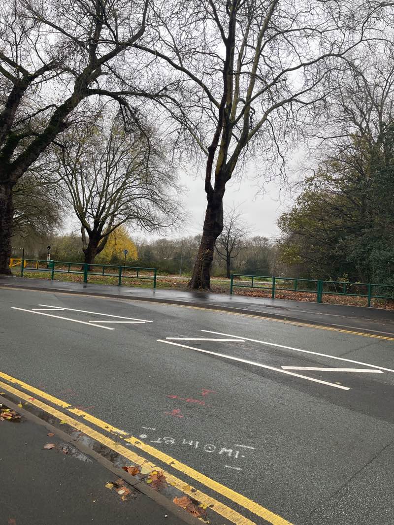 walking near me in Black Patch Park in winter