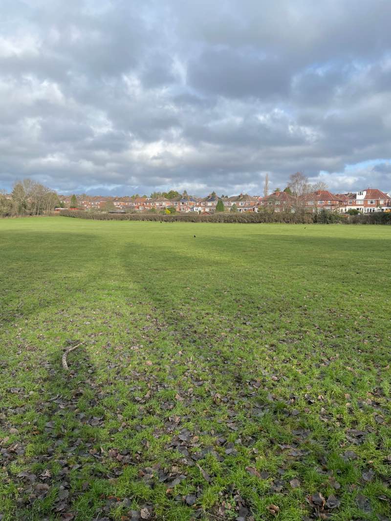 walking near me in Hawne Playing Fields in winter